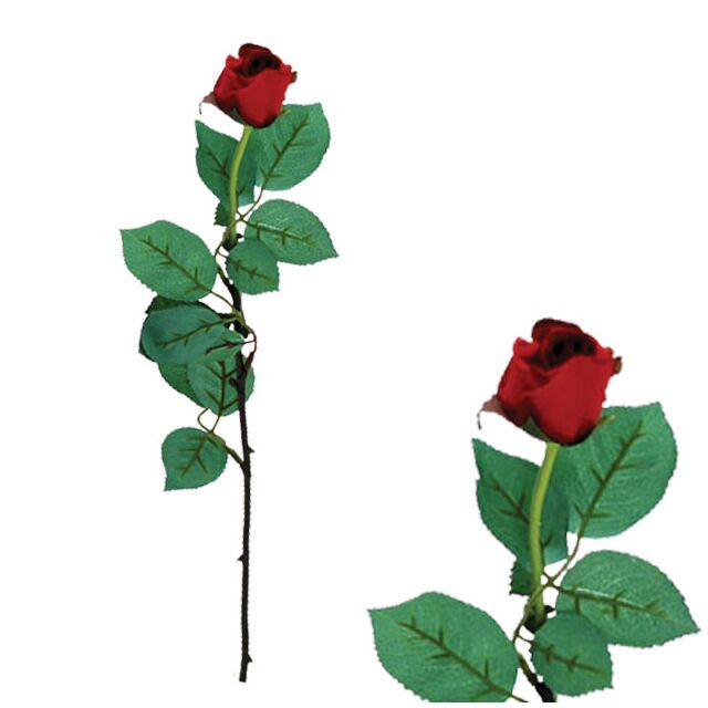 ΚΛΑΔΙ ΜΠΑΚΑΡΑΣ ΜΠΟΡΝΤΩ ΚΛΕΙΣΤΟ MONO Y77cm.