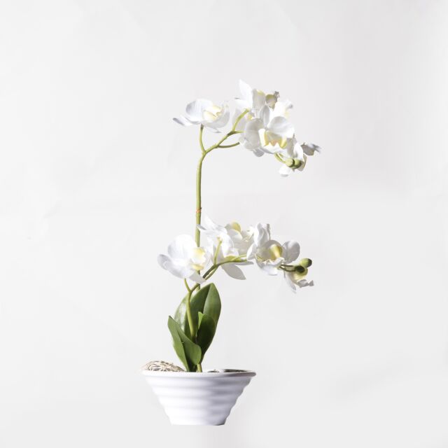 Τεχνητό Φυτό Ορχιδέα Phalaenopsis Real Touch Λευκή με Κασπώ 35 εκ.