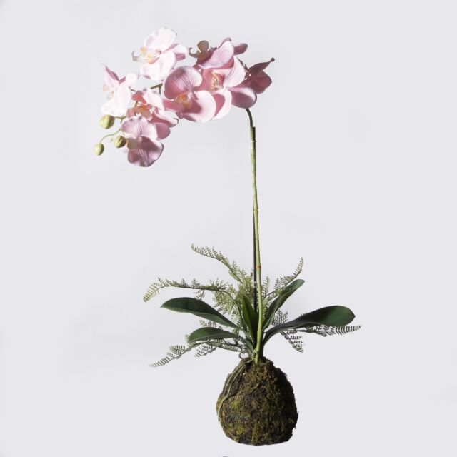 Τεχνητό Φυτό Ορχιδέα Phalaenopsis Real Touch Ροζ με Βάση Moss 60 εκ.