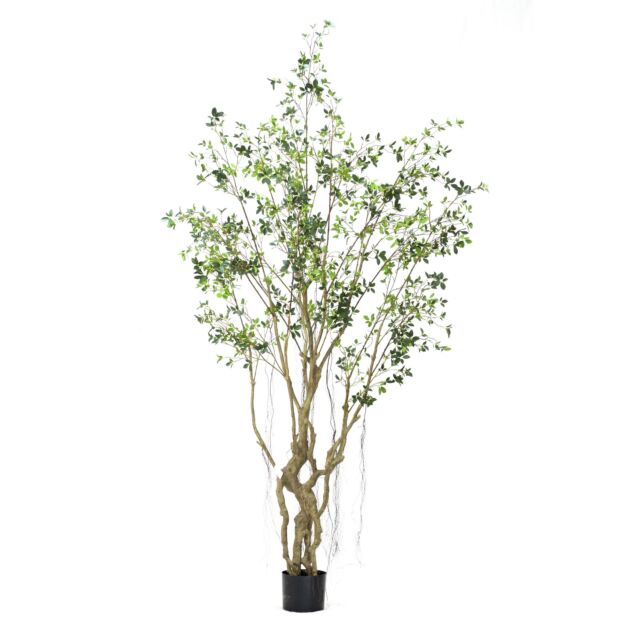 Τεχνητό Δέντρο Φίκος Microcarpa Πράσινο 300 εκ.