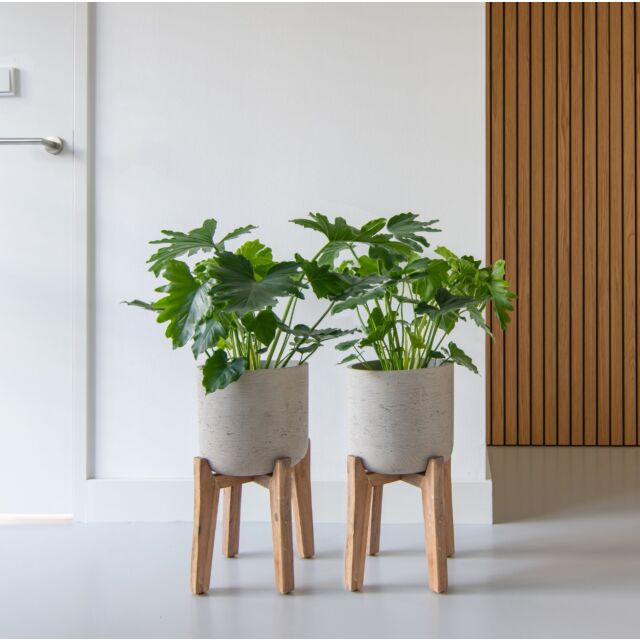 Γλάστρα Patt XXL (Feet High), W 44 x H 65 Με Βάση Ξύλο
