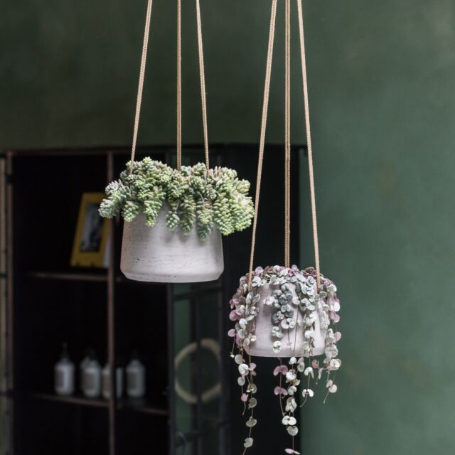 Γλάστρα Patt XL (hanging), Ø 23 x H 19,5