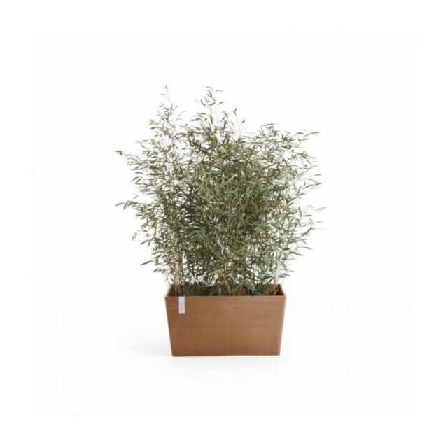 Ζαρντινιέρα Paris 100