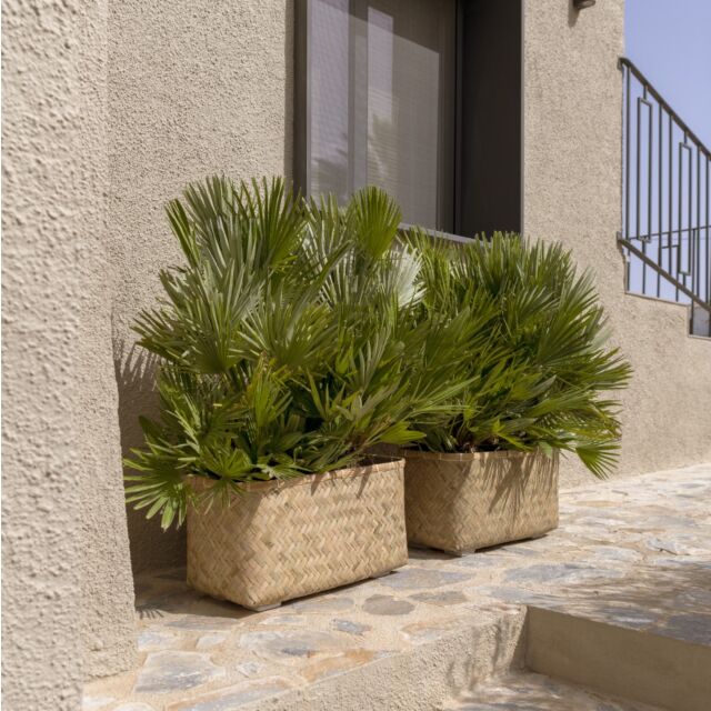 Ζαρτινιέρα Nouri S, Bamboo 50 L x 20 W x 21H