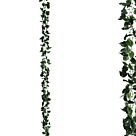 ΓΙΡΛΑΝΤΑ ΠΟΘΟΣ ΠΡΑΣΙΝΟ/ΚΙΤΡΙΝΟ ΑΛΥΣΙΔΑ Υ270cm