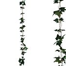 ΓΙΡΛΑΝΤΑ ΚΙΣΣΟΣ ΠΡΑΣΙΝΟ X3 - Y270cm