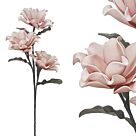 FOAM ΣΟΜΟΝ ΑΝΘΟΣ (3) Y92/38cm