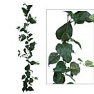 ΓΙΡΛΑΝΤΑ ΠΟΘΟΣ ΠΡΑΣΙΝΟ (122 ΦΥΛΛΑ) Y180cm.