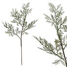 ΧΡΙΣΤΟΥΓ. ΚΛΑΔΙ ΠΕΥΚΟ-ΛΕΥΚΟ 82cm.