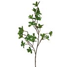 ΚΛΑΔΙ ΚΑΦΕ ΜΕ ΠΡΑΣΙΝΑ ΦΥΛΛΑ Y70cm.