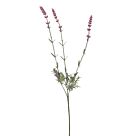 ΚΛΑΔΙ ΛΕΒΑΝΤΑ Χ3 Y70cm