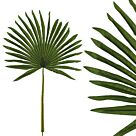ΚΛΑΔΙ ΦΥΛΛΟ ΜΟΥΝΤΖΑ ΠΡΑΣΙΝΟ Υ69cm