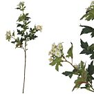 ΚΛΑΔΙ ΠΡΑΣΙΝΟ ΜΕ ΑΝΘΑΚΙΑ ΕΚΡΟΥ/ΡΟΖ - Υ76cm