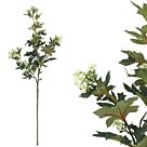 ΚΛΑΔΙ ΠΡΑΣΙΝΟ ΜΕ ΑΝΘΑΚΙΑ ΛΕΥΚΟ - Υ76cm