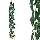 ΓΙΡΛΑΝΤΑ ΦΥΛΛA ΜΠΑΜΠΟΥ ΠΡΑΣΙΝΟ - Υ200cm
