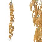ΓΙΡΛΑΝΤΑ ΦΥΛΛA ΜΠΑΜΠΟΥ ΚΑΦΕ - Υ200cm