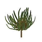 ΡΙΖΑ ΠΑΧΥΦΥΤΟ ΧΩΝΕΥΤΟ ΠΡΑΣΙΝΟ/KOKKINO - Y21cm 24/240ΚIB