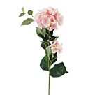 ΚΛΑΔΙ ΡΟΖ  ΟΡΤΑΝΣΙΑ Χ2 Y94cm ΔΙΑΜ20-10cm