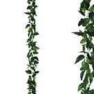 ΓΙΡΛΑΝΤΑ ΠΟΘΟΣ ΠΡΑΣΙΝΟ ΑΛΥΣΙΔΑ Y270cm