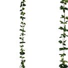 ΓΙΡΛΑΝΤΑ ΠΡΑΣΙΝΟ ΜΟΝΣΤΕΡΑ Χ3 - Υ270cm