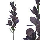 FOAM ΓΛΑΔΙΟΛΑ ΣΚOYΡΟ ΓΚΡΙ Y126cm