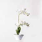 Τεχνητό Φυτό Ορχιδέα Phalaenopsis Real Touch Λευκή με Κασπώ 35 εκ.