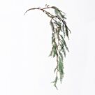 Τεχνητό Κρεμαστό Reindeer Moss Πράσινο Σκούρο 105 εκ.