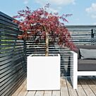 Γλάστρα Block L L 50 x W 50 x H 50