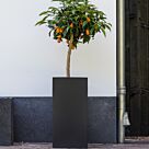 Γλάστρα Τετράγωνη Bouvy L, L 40 x W 40 x H 80