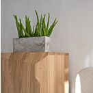 Ζαρτινιέρα Alice M 21.2 L x 8 W x 9 H