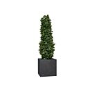 Τετράγωνη Γλάστρα Block L, Midnight Black L 50 x W 50 x H 50