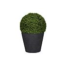 Γλάστρα Bucket S, Midnight Black Ø 50 x H 40