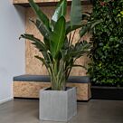 Τετράγωνη Γλάστρα Block L L 50 x W 50 x H 50