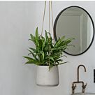 Γλάστρα Patt S (hanging), Ø 13,5 x H 11
